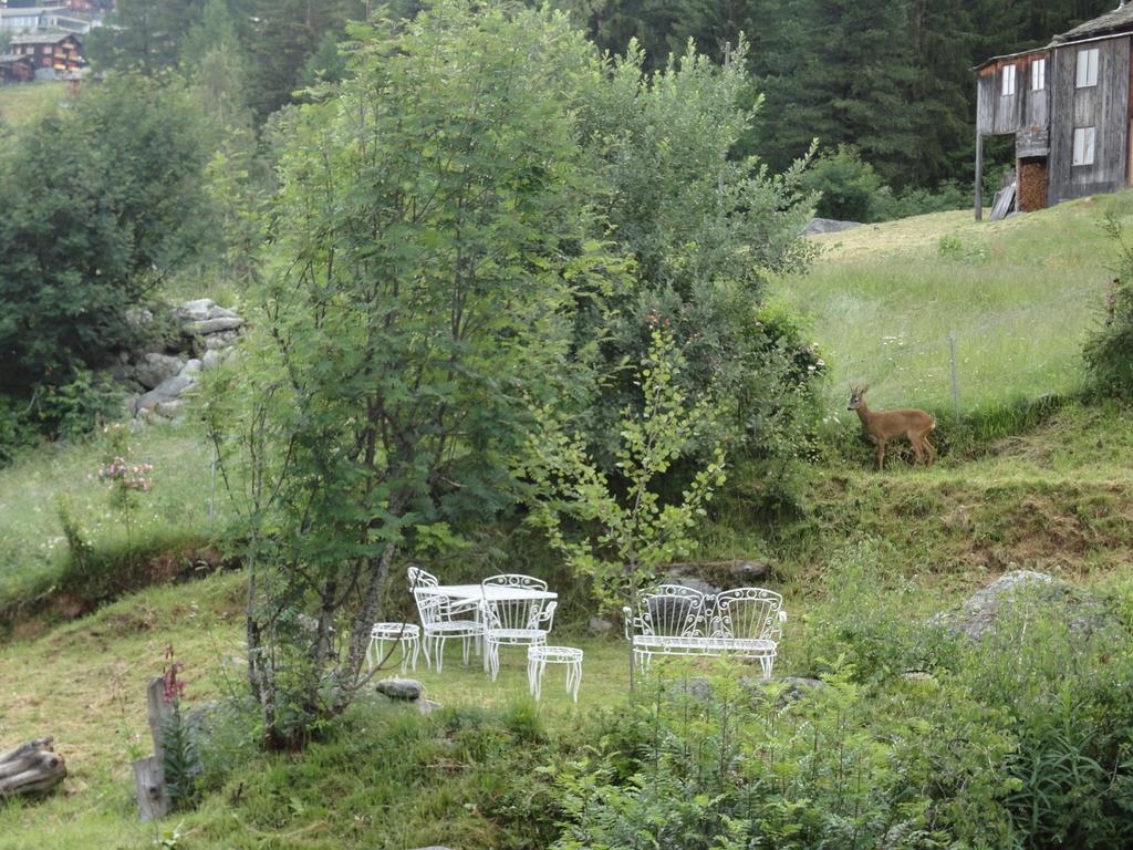 Chalet Sven & Marc Graechen, Niedergraechen Vallis Sankt Niklaus Phòng bức ảnh